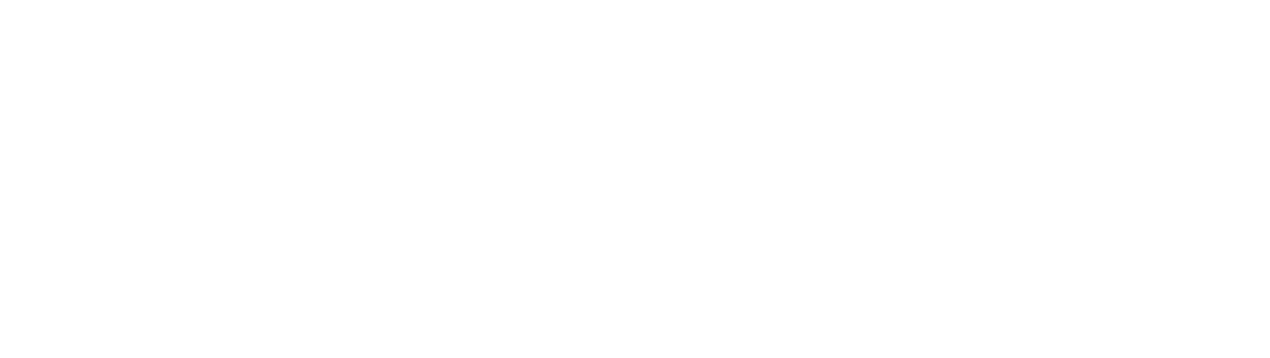 Nachurs Alpine Solutions® logo..