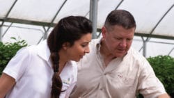 People inspecting soil in a green house.