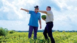 Employee and customer pointing with watermelon field.