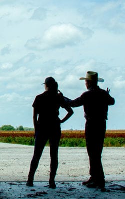 Coworkers looking out over crops.