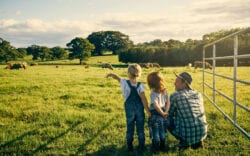 Dad with two daughters look out over a field.