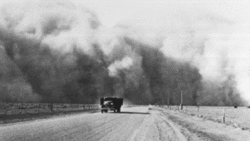 Dust bowl.