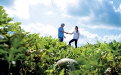 Customer and employee shaking hands in a field.