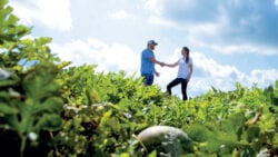 Customer and employee shaking hands in a field.