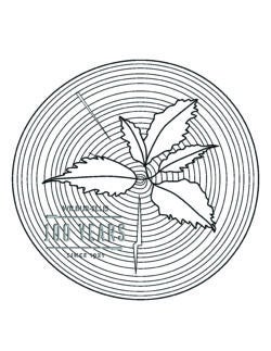 Color Our World Tree Rings.