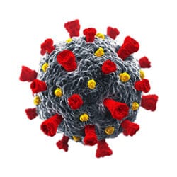 Coronavirus.