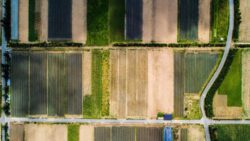 Aerial view of fields.