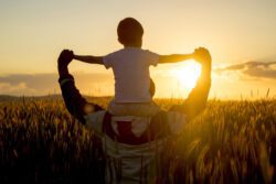 Father carrying son on shoulders in field of wheat at sunset.