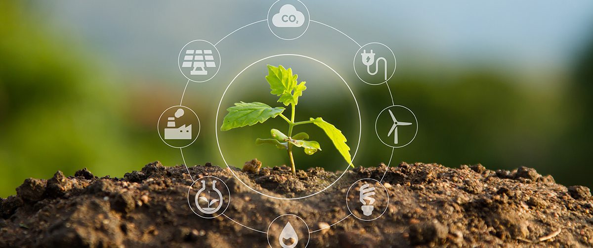 Environmental Protection