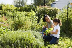 Happy woman and girl looking at garden plant.