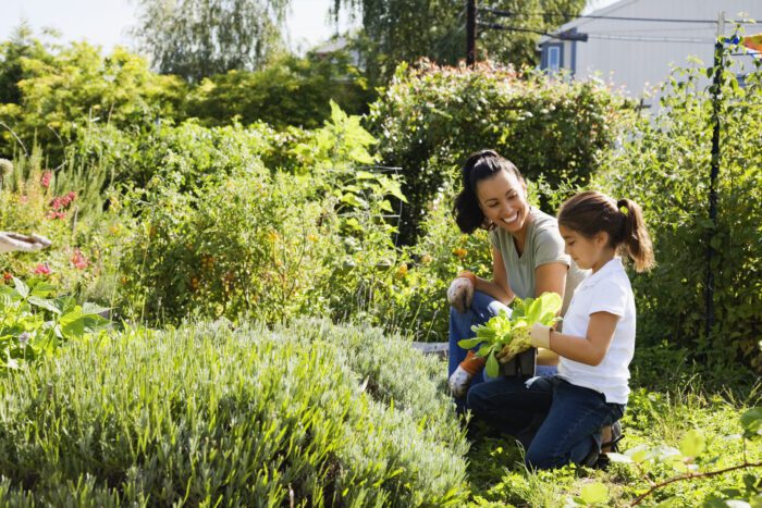 Happy woman and girl looking at garden plant.