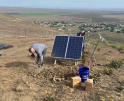 Installing solar panels in a field growing crops