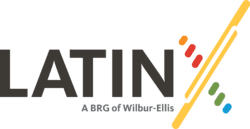 Diversity logo for LatinX employees